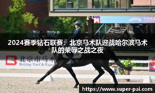 2024赛季钻石联赛：北京马术队迎战哈尔滨马术队的荣辱之战之夜