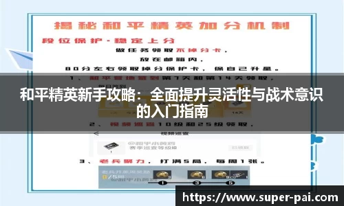 完美体育365平台官网